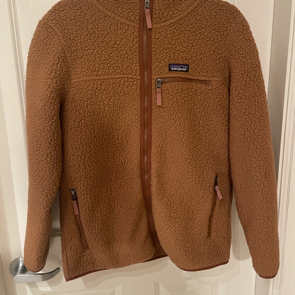 Patagonia Retro Pile Hoody